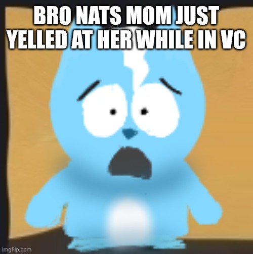 Asian parents ? | BRO NATS MOM JUST YELLED AT HER WHILE IN VC | image tagged in bro is in south park | made w/ Imgflip meme maker
