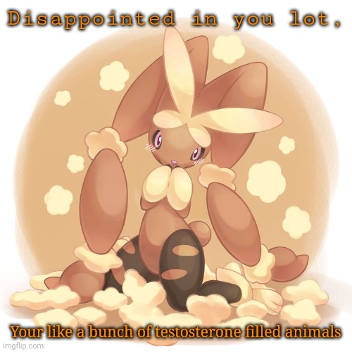 Disappointed in you lot, Your like a bunch of testosterone filled animals | image tagged in lopunny | made w/ Imgflip meme maker