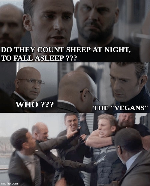 I do other things | DO THEY COUNT SHEEP AT NIGHT, 
TO FALL ASLEEP ??? WHO ??? THE "VEGANS" | image tagged in captain america elevator,funny,meme,vegan,sheep,veganism | made w/ Imgflip meme maker