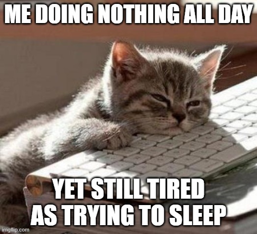 I'm tired, but I'm not. | ME DOING NOTHING ALL DAY; YET STILL TIRED AS TRYING TO SLEEP | image tagged in tired cat,how,cute cat,tired,why | made w/ Imgflip meme maker