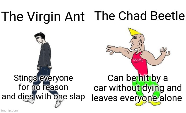 I hate ants | The Chad Beetle; The Virgin Ant; Can be hit by a car without dying and leaves everyone alone; Stings everyone for no reason and dies with one slap | image tagged in virgin vs chad,insects,ants,beetles | made w/ Imgflip meme maker