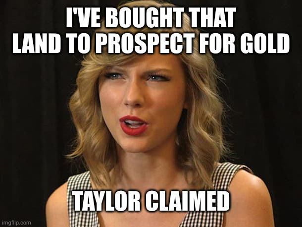 Taylor Swiftie | I'VE BOUGHT THAT LAND TO PROSPECT FOR GOLD TAYLOR CLAIMED | image tagged in taylor swiftie | made w/ Imgflip meme maker