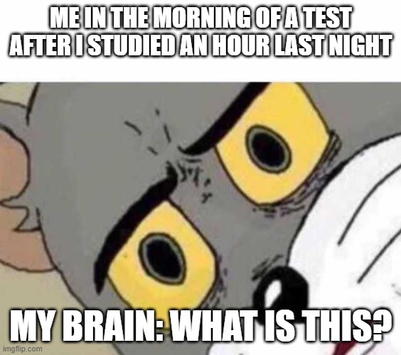 Brain betrays me | ME IN THE MORNING OF A TEST AFTER I STUDIED AN HOUR LAST NIGHT; MY BRAIN: WHAT IS THIS? | image tagged in tom cat unsettled close up,test,hate brain | made w/ Imgflip meme maker