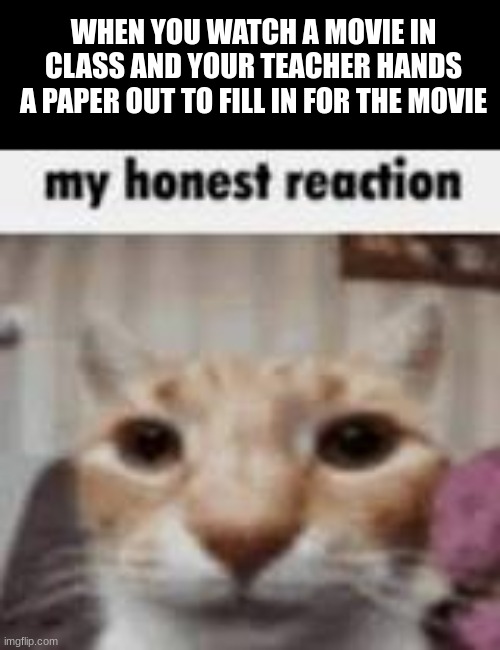 this always happens to me | WHEN YOU WATCH A MOVIE IN CLASS AND YOUR TEACHER HANDS A PAPER OUT TO FILL IN FOR THE MOVIE | image tagged in my honest reaction | made w/ Imgflip meme maker