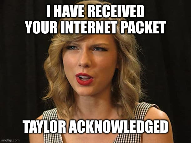 Taylor Swiftie | I HAVE RECEIVED YOUR INTERNET PACKET TAYLOR ACKNOWLEDGED | image tagged in taylor swiftie | made w/ Imgflip meme maker