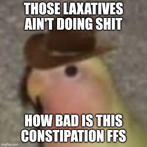 Gonb | THOSE LAXATIVES AIN'T DOING SHIT; HOW BAD IS THIS CONSTIPATION FFS | image tagged in gonb | made w/ Imgflip meme maker