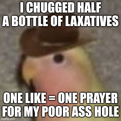 Gonb | I CHUGGED HALF A BOTTLE OF LAXATIVES; ONE LIKE = ONE PRAYER FOR MY POOR ASS HOLE | image tagged in gonb | made w/ Imgflip meme maker
