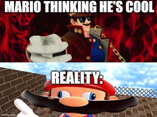 SMG4 mario meme | MARIO THINKING HE'S COOL; REALITY: | image tagged in mario,smg4 | made w/ Imgflip meme maker