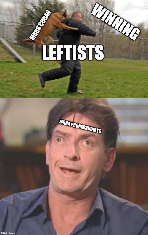 WINNING; MARK CUBAN; LEFTISTS; MRNA PROPAGANDISTS | image tagged in dog attack,charlie sheen derp | made w/ Imgflip meme maker