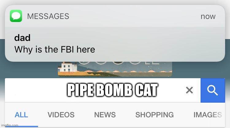 FBI meme | PIPE BOMB CAT | image tagged in fbi meme | made w/ Imgflip meme maker