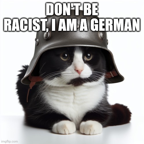 40 ups, I'll finish the song. | DON'T BE RACIST, I AM A GERMAN | image tagged in kaiser_floppa_the_1st silly post | made w/ Imgflip meme maker