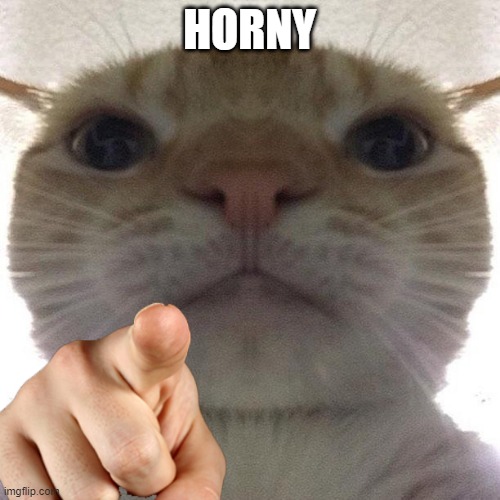 Cat point at you | HORNY | image tagged in cat point at you | made w/ Imgflip meme maker