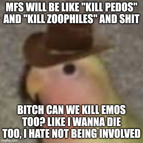 Gonb | MFS WILL BE LIKE "KILL PEDOS" AND "KILL ZOOPHILES" AND SHIT; BITCH CAN WE KILL EMOS TOO? LIKE I WANNA DIE TOO, I HATE NOT BEING INVOLVED | image tagged in gonb | made w/ Imgflip meme maker