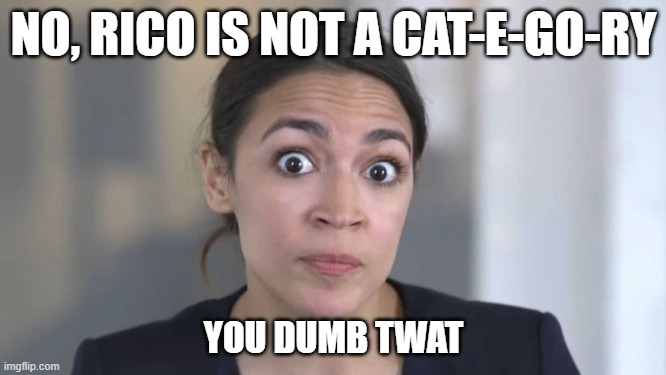 She has to sound out the big words. | NO, RICO IS NOT A CAT-E-GO-RY; YOU DUMB TWAT | image tagged in crazy alexandria ocasio-cortez,funny memes,stupid liberals,politics,joe biden,government corruption | made w/ Imgflip meme maker