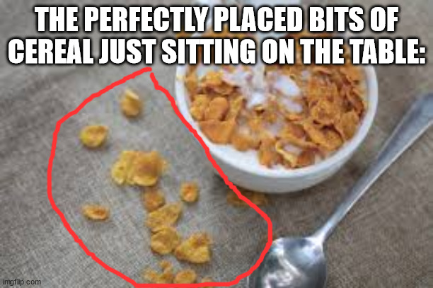 why do they do this in food commercials. Like who spills food on purpose | THE PERFECTLY PLACED BITS OF CEREAL JUST SITTING ON THE TABLE: | image tagged in lol | made w/ Imgflip meme maker