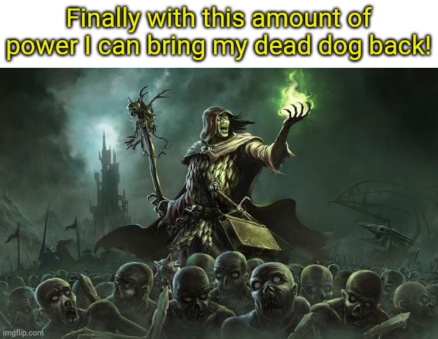 Necromancers | Finally with this amount of power I can bring my dead dog back! | image tagged in necromancers | made w/ Imgflip meme maker