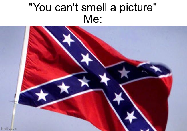 Smells like cigar smoke | "You can't smell a picture"
Me: | image tagged in confederate flag | made w/ Imgflip meme maker