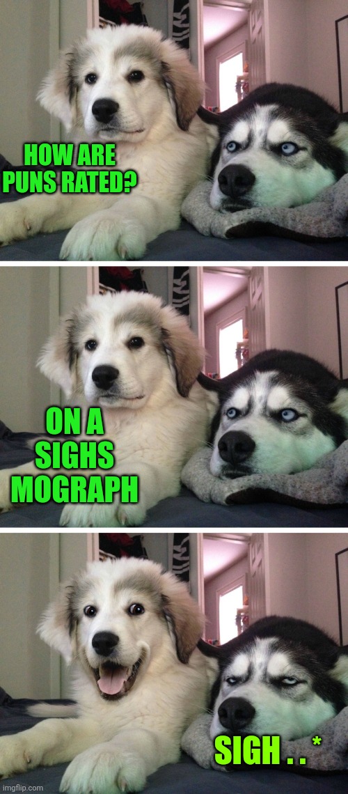 Bad pun dogs | HOW ARE PUNS RATED? ON A SIGHS MOGRAPH; SIGH . . * | image tagged in bad pun dogs | made w/ Imgflip meme maker