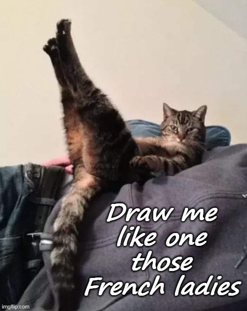 Sexy cat is sexy | Draw me like one those French ladies | image tagged in cat,french,drawings,sexy | made w/ Imgflip meme maker