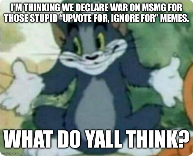 Idk what to do | I’M THINKING WE DECLARE WAR ON MSMG FOR THOSE STUPID “UPVOTE FOR, IGNORE FOR” MEMES. WHAT DO YALL THINK? | image tagged in tom shrugging,fun,memes,war | made w/ Imgflip meme maker
