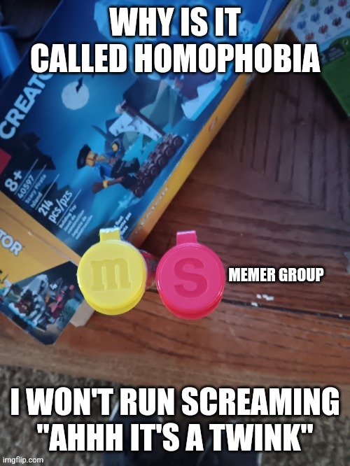 Thebest66 msmg | WHY IS IT CALLED HOMOPHOBIA; I WON'T RUN SCREAMING "AHHH IT'S A TWINK" | image tagged in thebest66 msmg | made w/ Imgflip meme maker