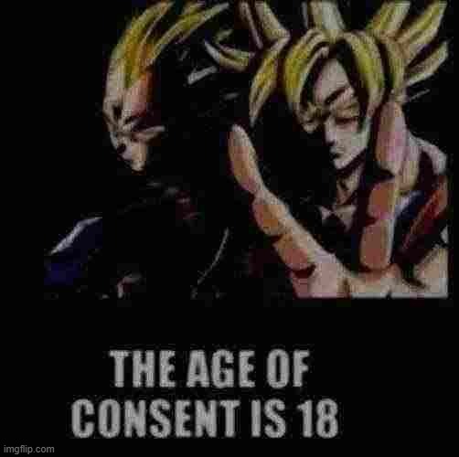 The Age of Consent is 18 | image tagged in the age of consent is 18 | made w/ Imgflip meme maker