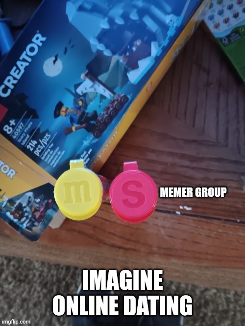Thebest66 msmg | IMAGINE ONLINE DATING | image tagged in thebest66 msmg | made w/ Imgflip meme maker