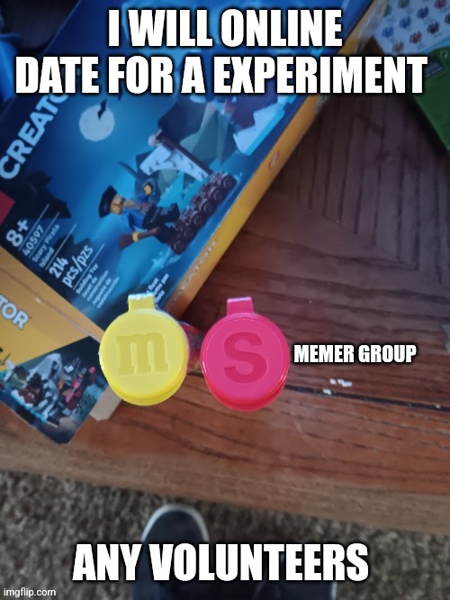 Thebest66 msmg | I WILL ONLINE DATE FOR A EXPERIMENT; ANY VOLUNTEERS | image tagged in thebest66 msmg | made w/ Imgflip meme maker