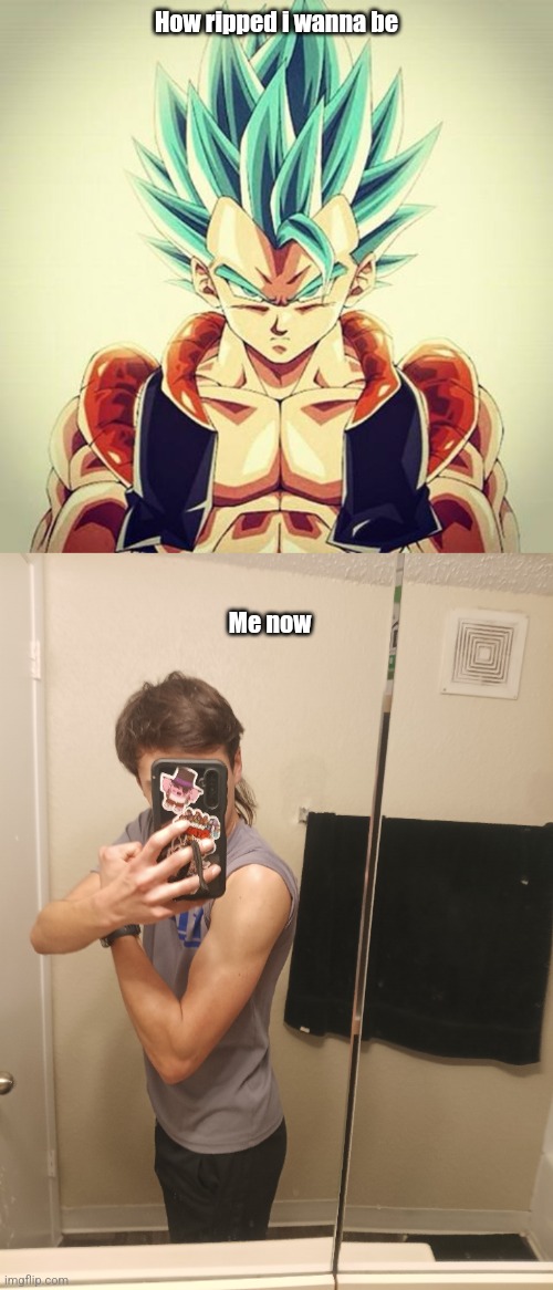 Need like another 2-3 years tbh, been focusing mainly on chest and abs | How ripped i wanna be; Me now | image tagged in gogeta | made w/ Imgflip meme maker