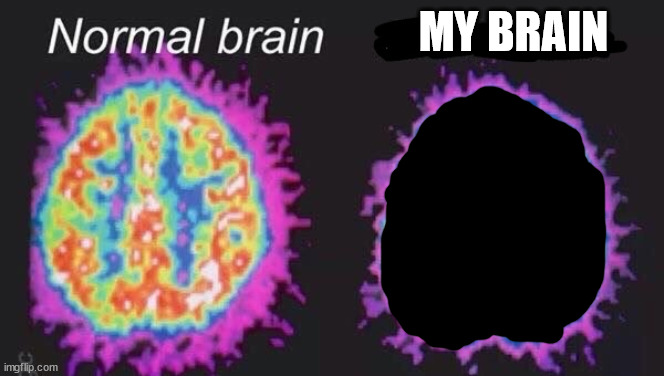 Normal brain vs mentally ill brain | MY BRAIN | image tagged in normal brain vs mentally ill brain | made w/ Imgflip meme maker