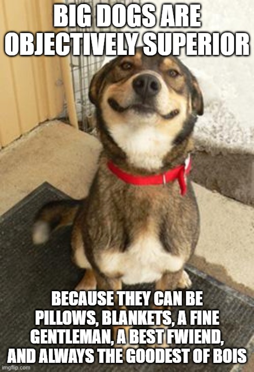 what's a small dog gonna do? bite my ankles? | BIG DOGS ARE OBJECTIVELY SUPERIOR; BECAUSE THEY CAN BE PILLOWS, BLANKETS, A FINE GENTLEMAN, A BEST FWIEND, AND ALWAYS THE GOODEST OF BOIS | image tagged in dog smiling big | made w/ Imgflip meme maker