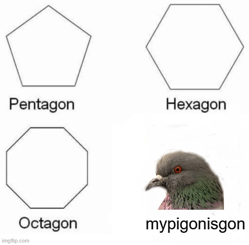 Pentagon Hexagon Octagon | mypigonisgon | image tagged in memes,pentagon hexagon octagon | made w/ Imgflip meme maker