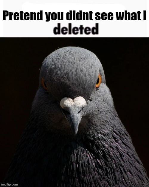 the pigon saw what you deleted | Pretend you didnt see what i | image tagged in the pigon saw what you deleted | made w/ Imgflip meme maker