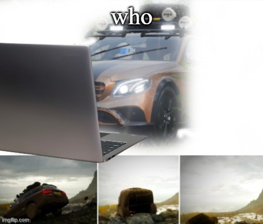 who | image tagged in mercedes driving off cliff | made w/ Imgflip meme maker