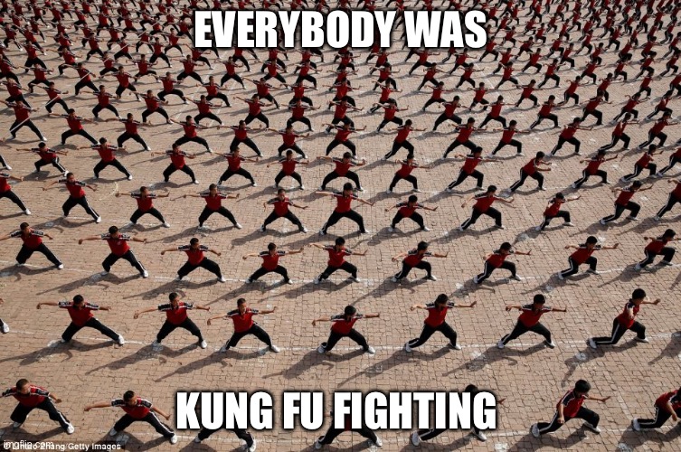 Everybody was kung fu fighting | EVERYBODY WAS KUNG FU FIGHTING | image tagged in everybody was kung fu fighting | made w/ Imgflip meme maker
