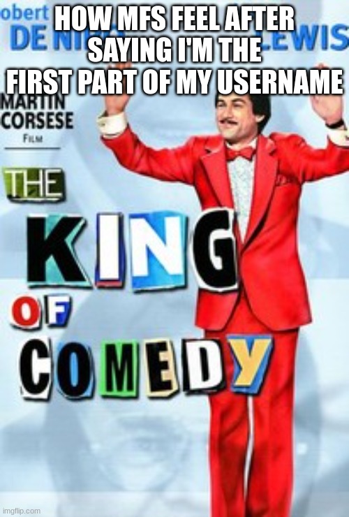 King of comedy | HOW MFS FEEL AFTER SAYING I'M THE FIRST PART OF MY USERNAME | image tagged in king of comedy | made w/ Imgflip meme maker