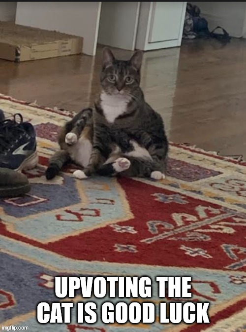Upvote the kitty!! | UPVOTING THE CAT IS GOOD LUCK | image tagged in kitty,riplos cat,riplos | made w/ Imgflip meme maker