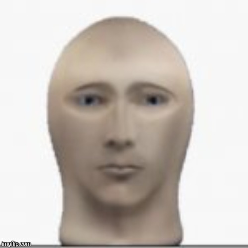 Front facing meme man | image tagged in front facing meme man | made w/ Imgflip meme maker