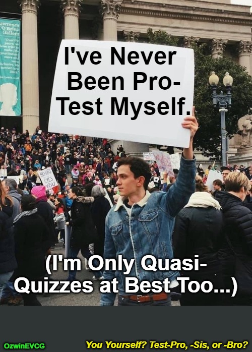 You Yourself? Test-Pro, -Sis, or -Bro? | I've Never 

Been Pro-

Test Myself. (I'm Only Quasi-
Quizzes at Best Too...); You Yourself? Test-Pro, -Sis, or -Bro? OzwinEVCG | image tagged in guy holding protest sign no wm,school,fun with english,dank messaging,protests,silly thoughts | made w/ Imgflip meme maker