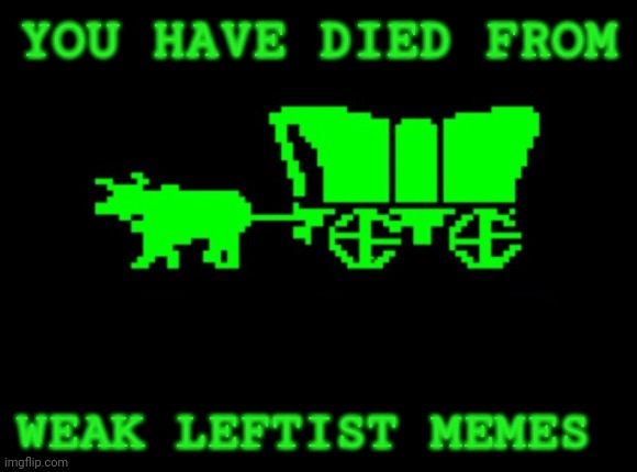 Oregon trail | YOU HAVE DIED FROM; WEAK LEFTIST MEMES | image tagged in oregon trail | made w/ Imgflip meme maker