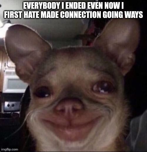 crying dog | EVERYBODY I ENDED EVEN NOW I FIRST HATE MADE CONNECTION GOING WAYS | image tagged in crying dog | made w/ Imgflip meme maker