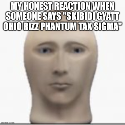 its happened like 4 times today | MY HONEST REACTION WHEN SOMEONE SAYS "SKIBIDI GYATT OHIO RIZZ PHANTUM TAX SIGMA" | image tagged in front facing meme man | made w/ Imgflip meme maker