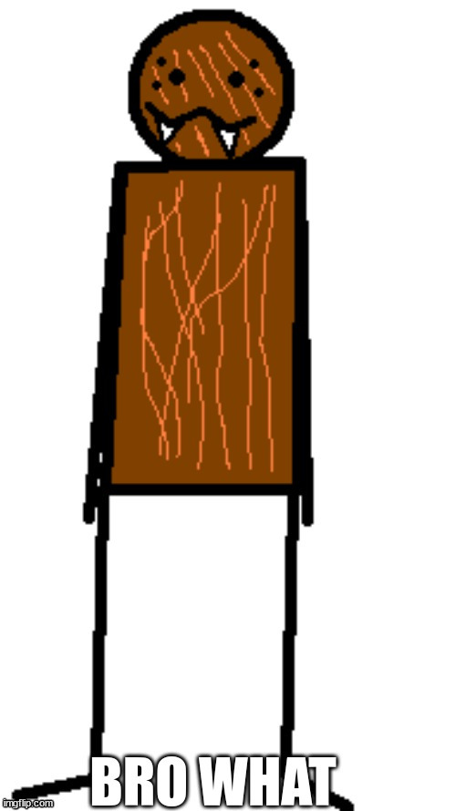 spdr bro what | image tagged in spdr bro what | made w/ Imgflip meme maker