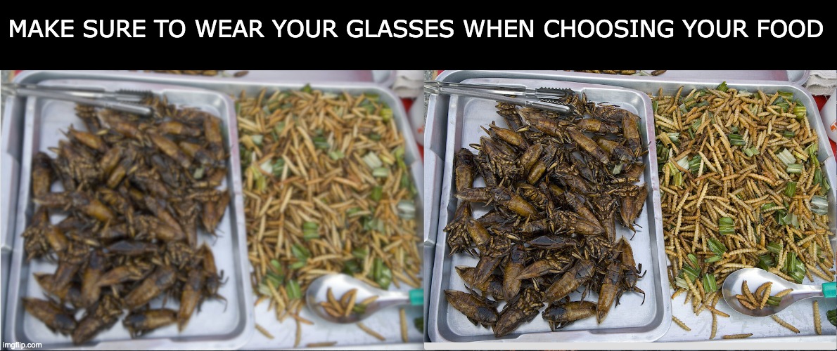 Bugs and Food | MAKE SURE TO WEAR YOUR GLASSES WHEN CHOOSING YOUR FOOD | image tagged in bugs | made w/ Imgflip meme maker