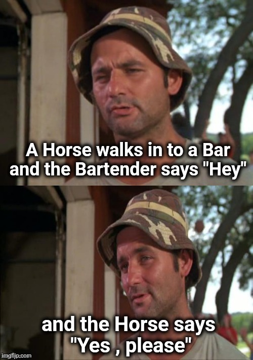 Bill Murray bad joke | A Horse walks in to a Bar and the Bartender says "Hey" and the Horse says
 "Yes , please" | image tagged in bill murray bad joke | made w/ Imgflip meme maker