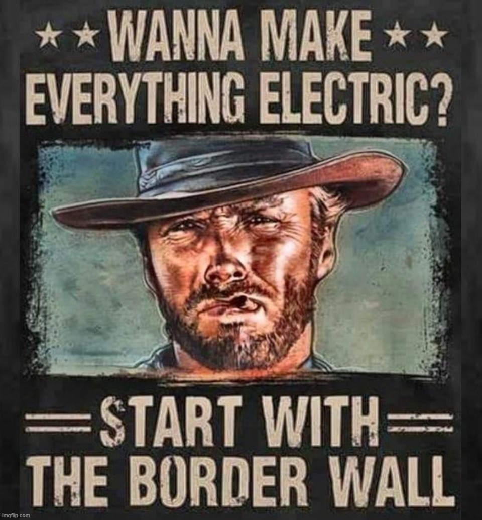 So you wanna make everything electric? | image tagged in border wall,border security,illegal immigration,illegal immigrants,illegal aliens | made w/ Imgflip meme maker