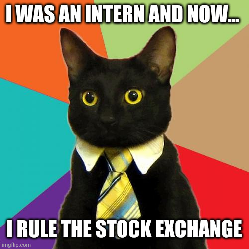 Promoted beyond sanity | I WAS AN INTERN AND NOW... I RULE THE STOCK EXCHANGE | image tagged in memes,business cat,intern,stock exchange,promotion,incompetence | made w/ Imgflip meme maker