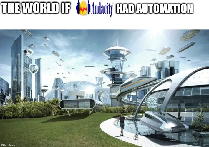 CAUSE VOLUME AIN'T ENOUGH | HAD AUTOMATION; THE WORLD IF | image tagged in the future world if | made w/ Imgflip meme maker