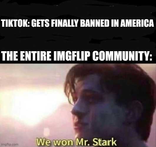 We won Mr. Stark | TIKTOK: GETS FINALLY BANNED IN AMERICA; THE ENTIRE IMGFLIP COMMUNITY: | image tagged in we won mr stark,memes,tiktok sucks,usa,banned | made w/ Imgflip meme maker