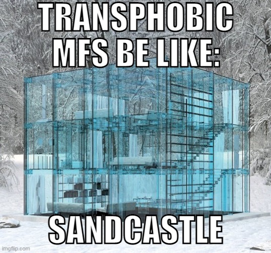TRANSPHOBIC MFS BE LIKE:; SANDCASTLE | image tagged in memes,funny | made w/ Imgflip meme maker